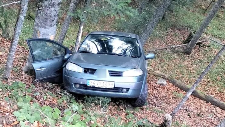 Bolu Yedigöller’de Aile Uçurumdan Düşmekten Kıl Hissesi Kurtuldu