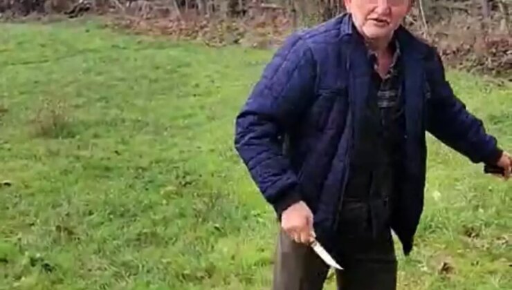 Bolu’da Köpek Kulübelerine Ateş Açan Yaşlı Adam Özgür Bırakıldı