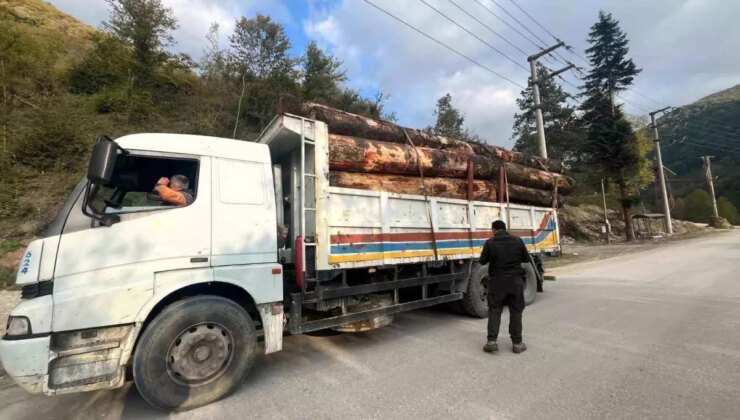 Bolu’da Orman Kaçakçılığı Kontrollerinde 5 Araç Sürece Alındı