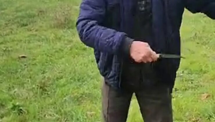 Bolu’da Sokak Köpekleri İçin Yapılan Kulübeler Yakıldı, Reaksiyon Gören Bireye Bıçak Çekildi