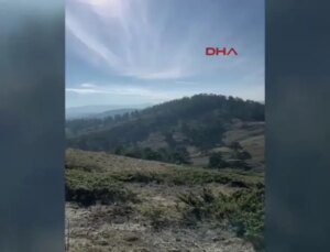 Gerilim Geçiren Akbaba Tedavi Edilerek Tabiata Salındı