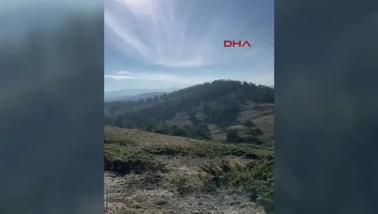 Gerilim Geçiren Akbaba Tedavi Edilerek Tabiata Salındı