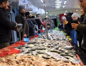 Bolu’da Hamsi Fiyatları Niyet İlgi Arttı