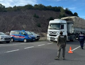 Düzce’de Kaçak Orman Emvali Kontrolleri Sıklaştırıldı