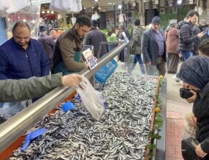 Bolu’da hamsi bolluğu sürüyor: Kilosu 200 liradan istek gördü
