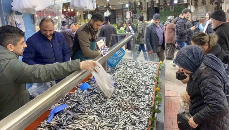 Bolu’da hamsi bolluğu sürüyor: Kilosu 200 liradan istek gördü
