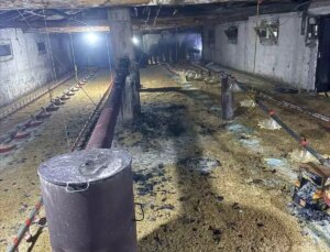 Bolu’da kümes yangını büyümeden söndürüldü