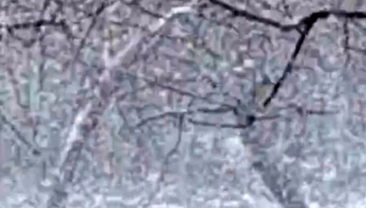 Mudurnu’da lapa lapa kar yağışı tesirli oldu