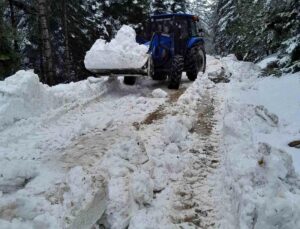 Bolu’da karla kaplanan yayla yollarını köylüler açtı