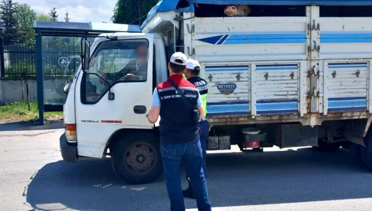 Bolu’da kurbanlık nakil araçları denetim edildi