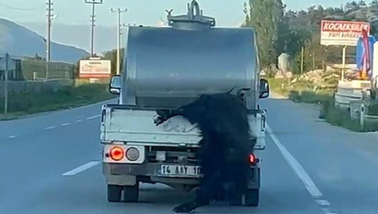 Kurbanlığı araçtan sarkıtıp kilometrelerce sürükledi