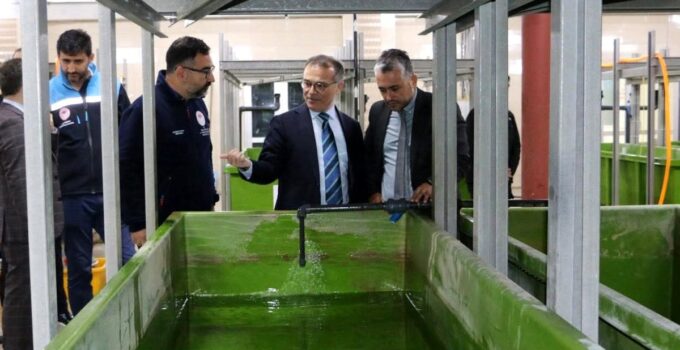 Abant Gölü’ne 100 bin endemik Abant alası bırakıldı