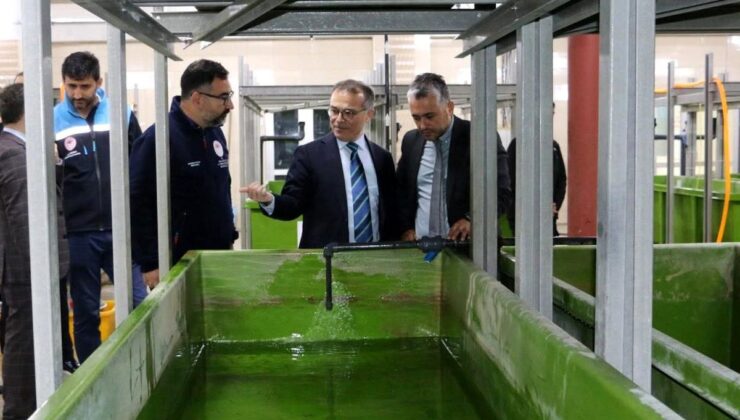 Abant Gölü’ne 100 bin endemik Abant alası bırakıldı