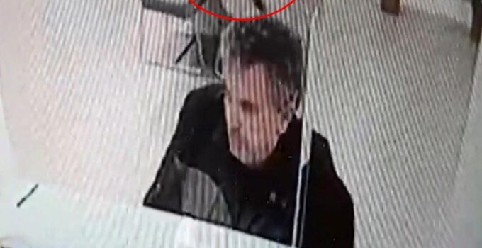 Bankada süreç yaparken üzerine kedi düştü