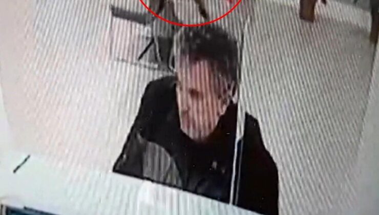 Bankada süreç yaparken üzerine kedi düştü