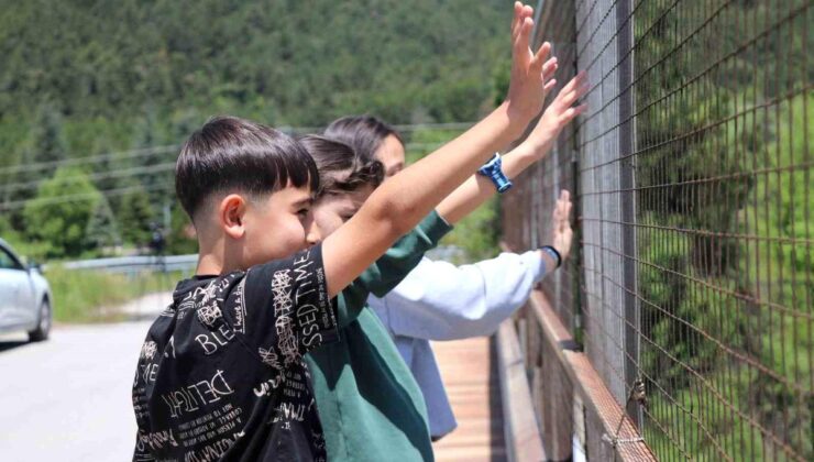 Bayram dönüş yolunda trafik zahmeti, çocukların cümbüşü oldu