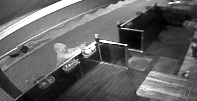 Bir gece öncesinden ihtimamla diktiği çiçekler saniyeler içerisinde çalındı