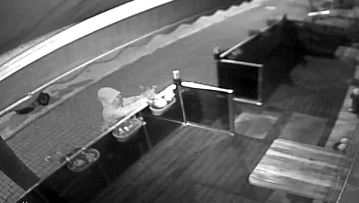 Bir gece öncesinden ihtimamla diktiği çiçekler saniyeler içerisinde çalındı
