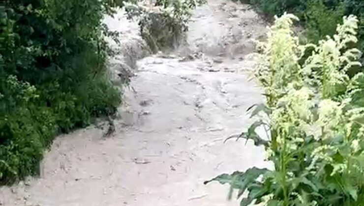 Bolu’da dereler taştı, tarım toprakları sular altında kaldı