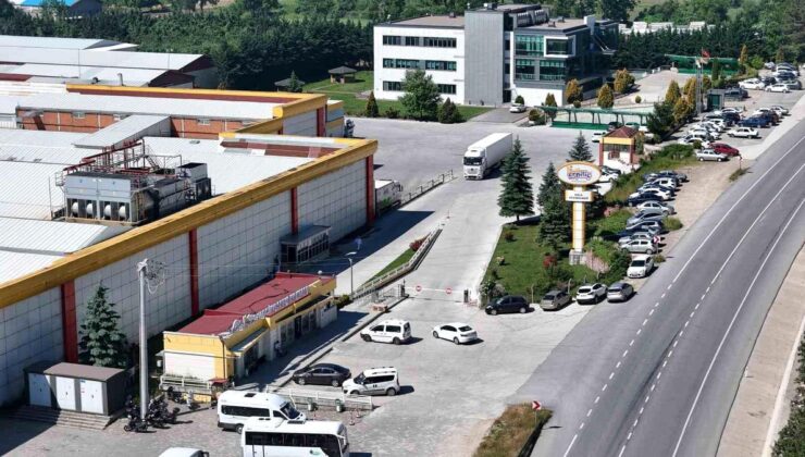 Bolu’da Erpiliç ve Akpiliç firmalarına kayyım atandı: 4 gözaltı