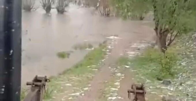 Bolu’da sağanak yağış dereleri taşırdı: Bahçe ve ahırlar sular altında kaldı