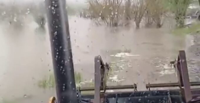 Sağanak sonrası dere taştı, bahçe ve ahırları su bastı