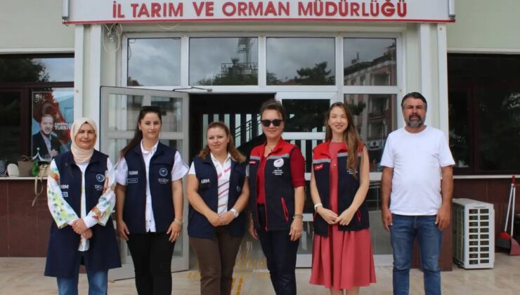 Bayan Eliyle Nohutta Rahmet Projesi’nde Hasat Takibi