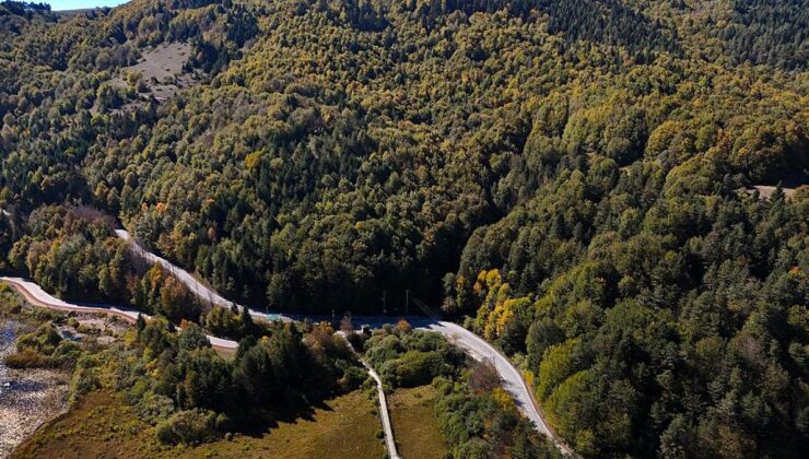 Bolu’da ormanlara giriş 30 Eylül’e kadar yasaklandı