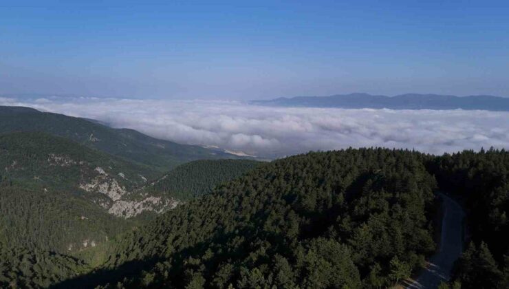 Bolu’da Bulut Denizi Kartpostallık Kareler Oluşturdu