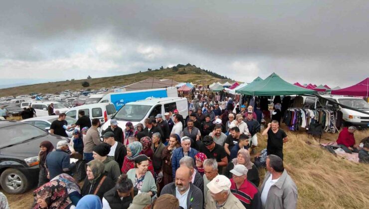 Bolu’da Hacet Bayramı: Şifa İçin Sarı Kantaron Toplandı