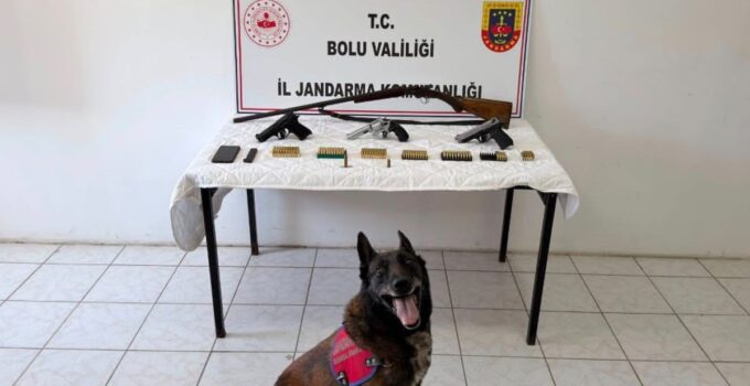 Bolu’da silah operasyonu: 1 tutuklama