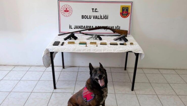 Bolu’da silah operasyonu: 1 tutuklama