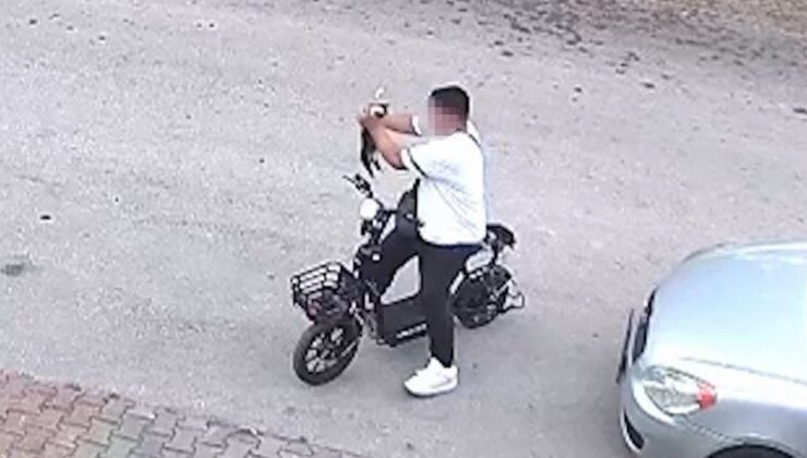 Bolu’da yavru kediyi boğan otizmli çocuk özgür